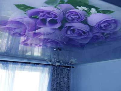 Натяжные потолки с фотопечатью. Натяжные потолки с фотопечатью.